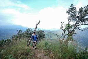 BIB: 
                            <button type="button" onclick="openModal(22372148)" class="btn btn-primary btn-sm float-right btn-popup" data-toggle="modal" data-target=".modal-high-quality">
                        <i class="fas fa-shopping-cart"></i> Add to Cart
                    </button>
                                            <button type="button" onclick="isThisMe(22372148, true)" class="btn btn-success btn-sm float-right btn-popup btn-isme hidden" data-toggle="tooltip" data-placement="bottom" title="นี่คือรูปของคุณใช่ไหม คลิกที่นี่เพื่อเอาเข้าอัลบั้ม">
                        <i class="fas fa-plus"></i> Add to album
                    </button>
                    <button type="button" onclick="isThisMe(22372148, false)" class="btn btn-warning btn-sm float-right btn-popup btn-isnotme hidden">
                        <i class="fas fa-ban"></i> Remove from album
                    </button>